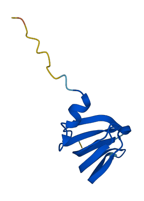 LSM5 3D structure