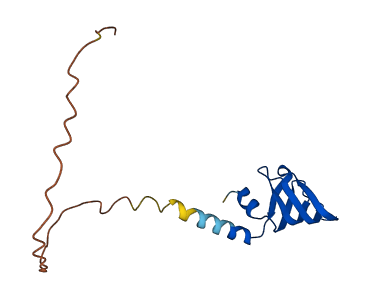 LSM4 3D structure