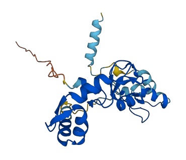 RNF114 3D structure