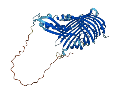 SAMM50 3D structure