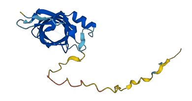 CSDC2 3D structure