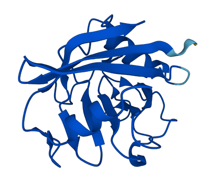 PPIAL4A 3D structure