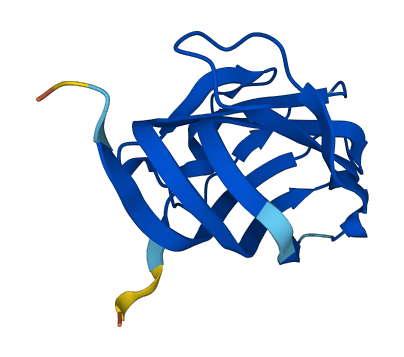HSPB11 3D structure