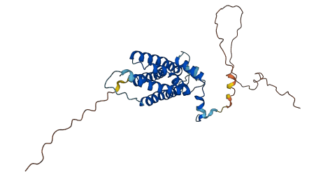 YIPF1 3D structure