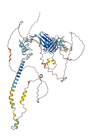LRP12 3D structure