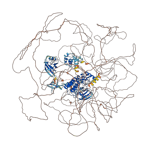 SHANK1 3D structure