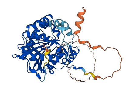 PPME1 3D structure