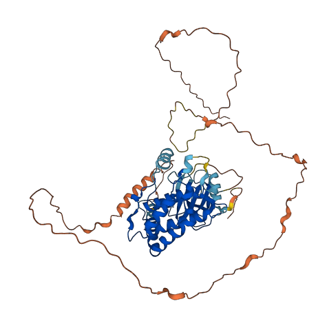 RIPK3 3D structure