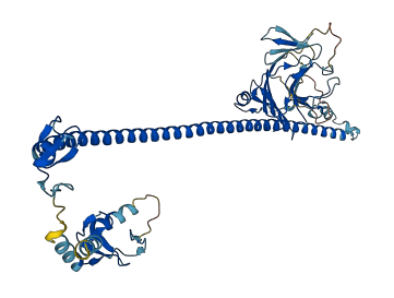 TRIM17 3D structure