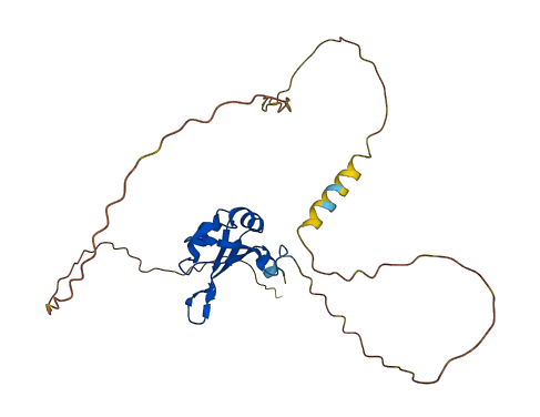 RBM7 3D structure