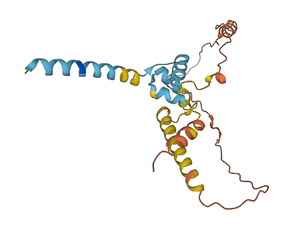 INSL6 3D structure