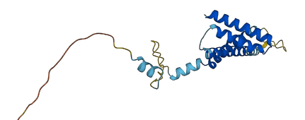 TIMM22 3D structure