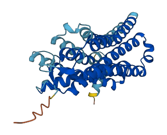 OR1A2 3D structure