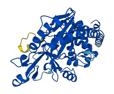 MAB21L2 3D structure
