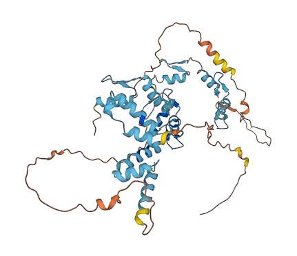 ZSCAN21 3D structure