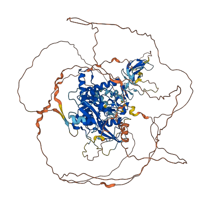 CTDP1 3D structure