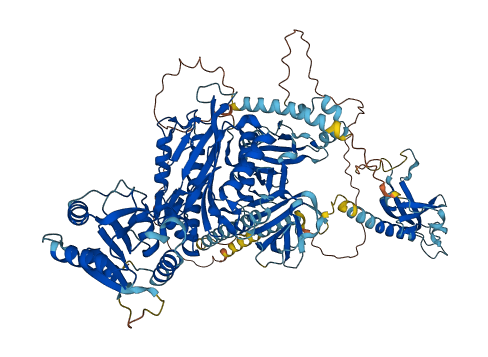 SUPT16H 3D structure