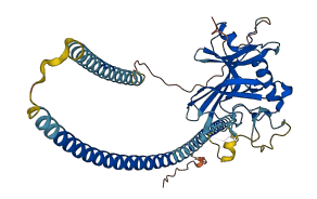 ANGPTL3 3D structure