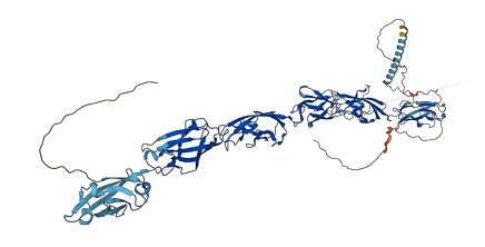 PCDHB9 3D structure