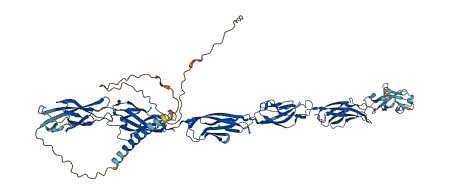 PCDHB6 3D structure