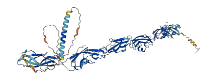 PCDHB4 3D structure