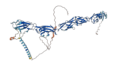 PCDHB11 3D structure