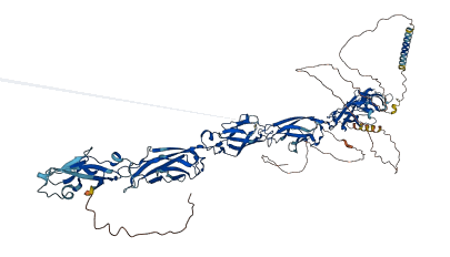 PCDHGB5 3D structure