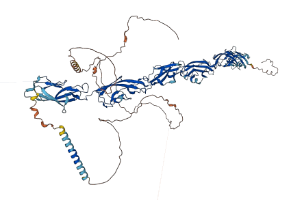 PCDHGB3 3D structure