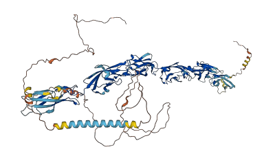 PCDHGA8 3D structure