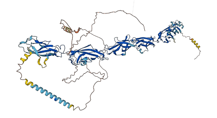 PCDHGA11 3D structure