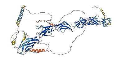 PCDHGA1 3D structure