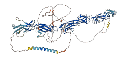 PCDHA9 3D structure