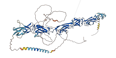 PCDHA2 3D structure