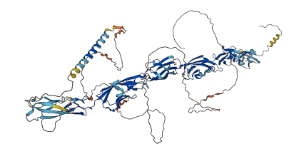 PCDHA13 3D structure