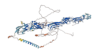 PCDHA11 3D structure