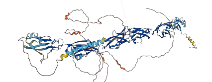 PCDHA1 3D structure