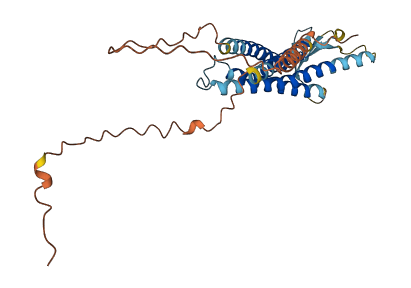 CLDN16 3D structure
