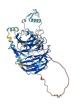 UTP18 3D structure