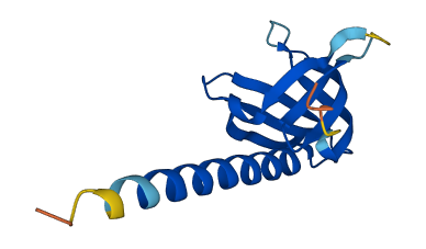 PHLDA3 3D structure