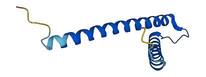 TIMM9 3D structure
