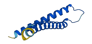 TIMM8B 3D structure