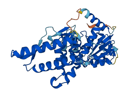 SPO11 3D structure
