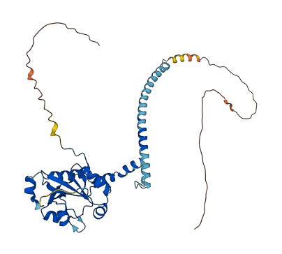PCYT1B 3D structure