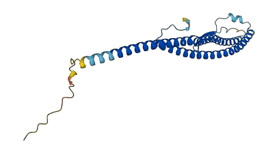 ATP6V1D 3D structure