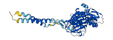 ENTPD2 3D structure