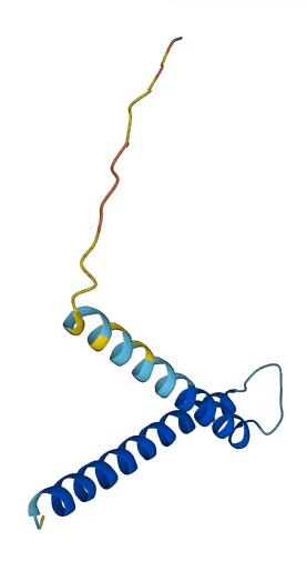 TIMM13 3D structure