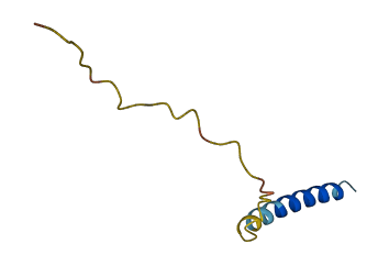 LENEP 3D structure