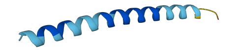 OCLM 3D structure