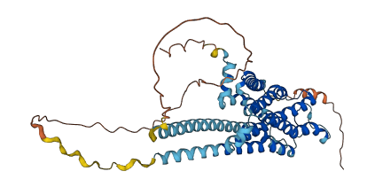 HRH3 3D structure