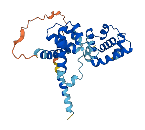 ORC6 3D structure
